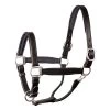 Perri's Padded Leather Halter