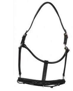 HDR Pony Fancy Padded Leather Halter -Western Tack Outlet Store 5019halterblack 80901 35602.1618602106