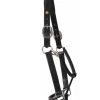 HDR Pony Fancy Padded Leather Halter