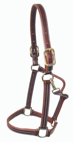 Mary's British Leather Halter With Solid Brass Hardware -Western Tack Outlet Store 5100britishhaltercopy 85659 13800.1685668117