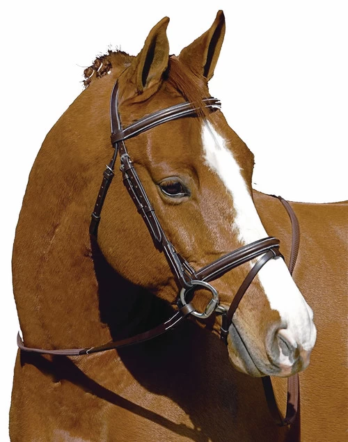 HDR Pro Monocrown Plain Raised Flash Bridle 5 HDR Pro Monocrown Plain Raised Flash Bridle - Image 5