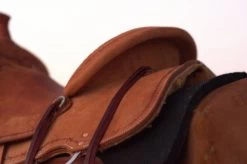 Circle Y Comal All Around Saddle -Western Tack Outlet Store Comal All Around Skirt 42444.1600205963