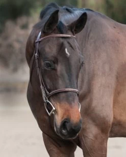 Edgewood Raised Fancy Stitch Bridle -Western Tack Outlet Store Dante0221 16 89088.1614975659