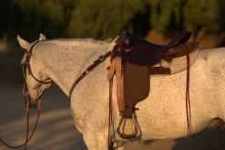 High Horse Highbank Endurance Saddle By Circle Y -Western Tack Outlet Store HH Highback Left Profile on a horse 30277.1600209479