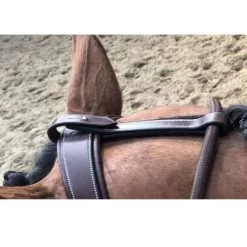 Jump'in Patrick Training Aid -Western Tack Outlet Store Patrick Training Aid havana poll jumpin 64436.1645560092