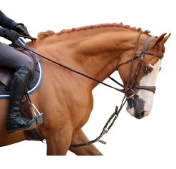 Jump'in Patrick Training Aid -Western Tack Outlet Store Patrick Training Aid2 jumpin 06200.1645562222