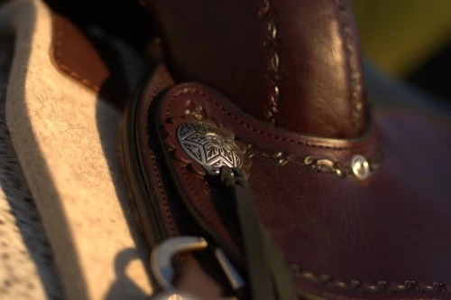 Circle Y Salt River Flex2 Trail Saddle 1667 2 Circle Y Salt River Flex2 Trail Saddle 1667 - Image 2