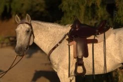 Circle Y Salt River Flex2 Trail Saddle 1667 10 Circle Y Salt River Flex2 Trail Saddle 1667 -Western Tack Outlet Store Salt River Left Profile on a horse 71261.1600203852