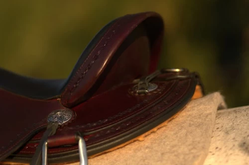 Circle Y Salt River Flex2 Trail Saddle 1667 1 Circle Y Salt River Flex2 Trail Saddle 1667