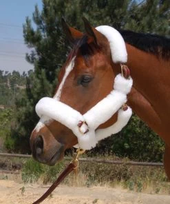 Mary's Walsh Shipping Halter With Solid Brass Hardware