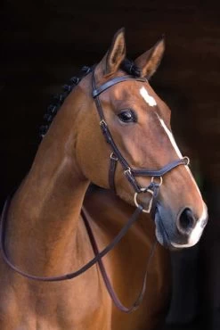 Horseware Ireland Rambo Original Micklem Multibridle -Western Tack Outlet Store aaaaaaailv 22049 42851.1527306628