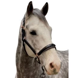 Halter Ego Aurelia Rose Gold Halter -Western Tack Outlet Store aurelia black pt rs gold halter ego 47724.1682994359