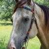 Circle Y Vibrant Infinity Beaded Brow Headstall