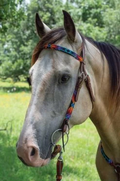 Circle Y Vibrant Infinity Beaded Brow Headstall