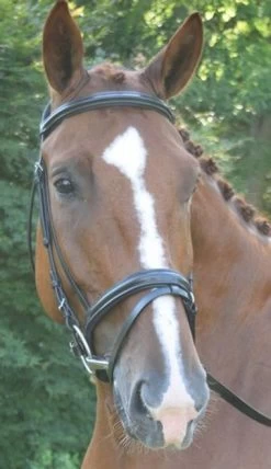 Black Oak Juniper Snaffle Bridle -Western Tack Outlet Store black oak juniper bridle front 37642.1541199613