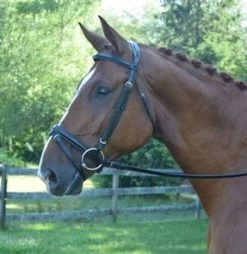 Black Oak Juniper Snaffle Bridle -Western Tack Outlet Store black oak juniper bridle side 03583.1541199609