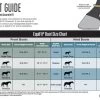EquiFit AmpTeq Hind Boots