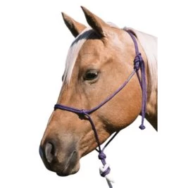Double Diamond Buck Brannaman 124 Rope Halter -Western Tack Outlet Store brannaman halter 124 RL double diamond 43478.1635012858