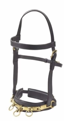 Camelot Leather Lunge Cavesson