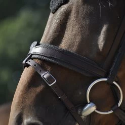 In Horse We Trust Contact Noseband With Flash -Western Tack Outlet Store contact noseband flash havana horse IHWT 85753.1658870509