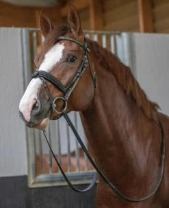 PÉNÉLOPE Pénélope Daily Snaffle Bridle -Western Tack Outlet Store daily snaffle black front reins 301 602 218 penelope 73321.1688760930