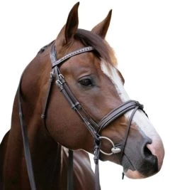 PÉNÉLOPE Pénélope Daily Snaffle Bridle -Western Tack Outlet Store daily snaffle havana side white 301 602 318 penelope 17043.1688760922