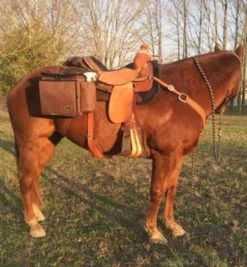 Reinsman Deluxe Insulated Cooler Saddle Bag -Western Tack Outlet Store deluxe insulated saddle bag brown horse 9187 BN reinsman 00542.1674839529