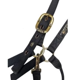Big D Nylon Draft Halter - Snap + Adjustable Chin 7 Big D Nylon Draft Halter - Snap + Adjustable Chin -Western Tack Outlet Store draft halter black hardware big d mtf 63256.1649965248