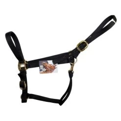 Big D Nylon Draft Halter - Snap + Adjustable Chin 6 Big D Nylon Draft Halter - Snap + Adjustable Chin -Western Tack Outlet Store draft halter black side big d mtf 52393.1649965225