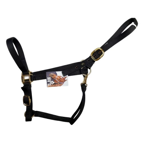Big D Nylon Draft Halter - Snap + Adjustable Chin 3 Big D Nylon Draft Halter - Snap + Adjustable Chin - Image 3