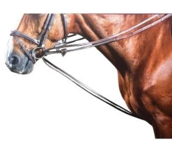 Dy'on Rubber Lined Hunter Draw Reins 7 Dy'on Rubber Lined Hunter Draw Reins -Western Tack Outlet Store draw reins hunter grip brown horseW W008C dyon 35929.1626810108