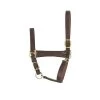 Perri's Economy Leather Foal/Pony Halter