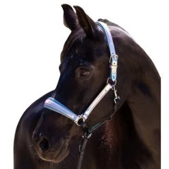 Halter Ego Elsa Halter -Western Tack Outlet Store elsa halter neon.blue halter ego 47152.1682705317