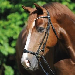 Kavalkade Fiala Drop Noseband Bridle -Western Tack Outlet Store fiala drop noseband bridle black horse 19043 kavalkade 70982.1607126906