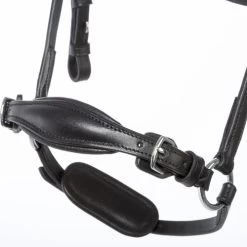 Kavalkade Fiala Drop Noseband Bridle