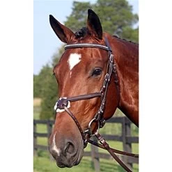 Nunn Finer Figure-8 Bridle