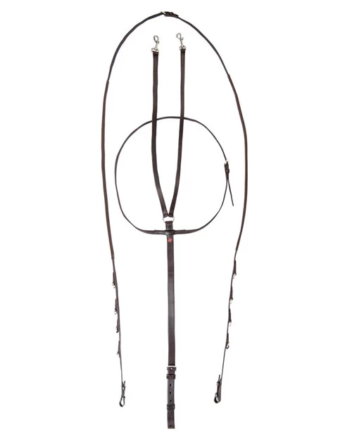 Walsh German Olympic Martingale 1 Walsh German Olympic Martingale