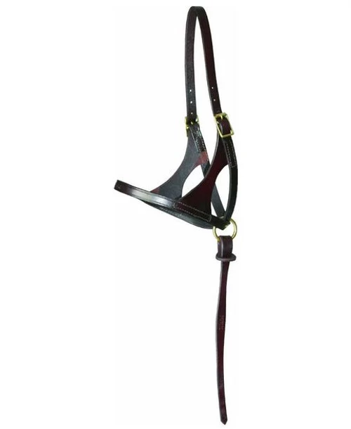 Walsh Grow With Me Foal Halter 1 Walsh Grow With Me Foal Halter