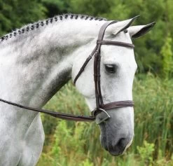 Red Barn Indio Hunter Bridle