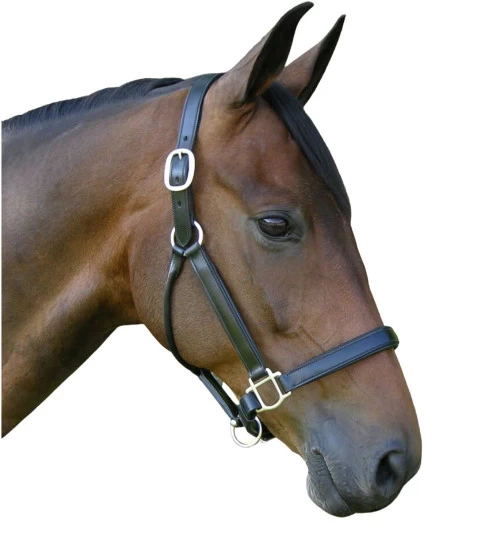 Red Barn Kelly Black Leather Halter 2 Red Barn Kelly Black Leather Halter - Image 2