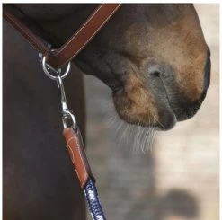 Antarès Lead Rope -Western Tack Outlet Store lead rope navy brown clip LIC2 antares 27398.1643754806