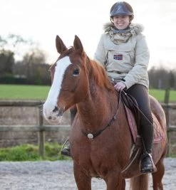 In Horse We Trust Liberty Neck Strap -Western Tack Outlet Store liberty neck strap havana on horse NECK STRAP in horse we trust 83032.1658788014