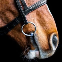 Fager Madeleine Titanium Jointed Loose Ring Bradoon -Western Tack Outlet Store madeleine titanium single joint bradoon horse fager 91453.1621118777