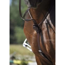 In Horse We Trust C-Cure Running Martingale -Western Tack Outlet Store martingale c cure havana horse chest ihwt 07342.1564448667