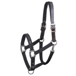 Schockemohle Memphis Fleece Lined Halter -Western Tack Outlet Store memphis breakaway black 1311 00020 schockemoehle 55437.1650664913