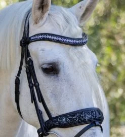 Halter Ego Munich Navy Floral Snaffle Bridle -Western Tack Outlet Store munich navy floral snaffle navy navy detail MUNICH halter ego 04698.1682639421