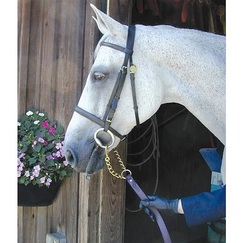 Nunn Finer Newmarket Shank Lead 2 Nunn Finer Newmarket Shank Lead - Image 2