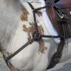 Nunn Finer 5 Way Elastic Hunting Breastplate