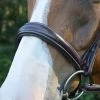 Red Barn Ocala Wide Contour Bridle