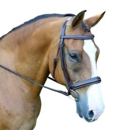Red Barn Ocala Wide Contour Bridle -Western Tack Outlet Store ocala bridle brown white red barn 58175.1684371960